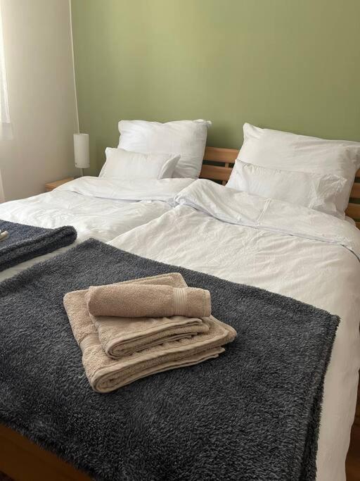 Priestranny 3 Izb. Apartman V Centre S Parkovanim. Банска-Бистрица Экстерьер фото