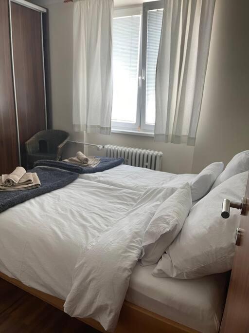 Priestranny 3 Izb. Apartman V Centre S Parkovanim. Банска-Бистрица Экстерьер фото